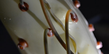 Intro to Latex Construction: Unnatural Techniques for Natural Rubber